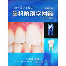 ウォールフェルの歯科解剖学図鑑　最新第8版