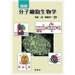 図解 分子細胞生物学(電子書籍版)