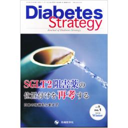 Diabetes Strategy　9/1　2019年Winter
