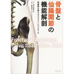 骨盤と仙腸関節の機能解剖