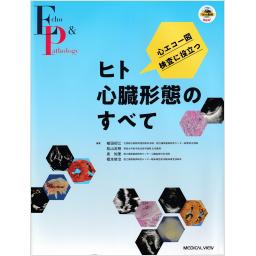 心エコー図検査に役立つ　ヒト心臓形態のすべて