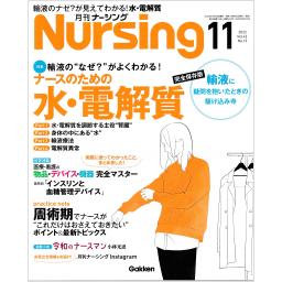 月刊ナーシング　42/13　2022年11月号