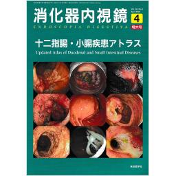 消化器内視鏡　36/4　2024年4月増大号