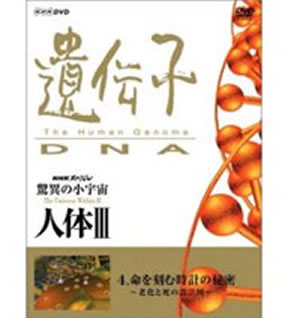 NHKスペシャル 驚異の小宇宙 人体III 遺伝子 DVD-BOX 全6枚（新