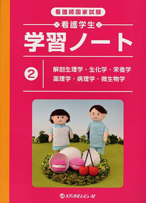 激安 看護師国家試験まとめノート 付箋ノート 解剖生理学 国試
