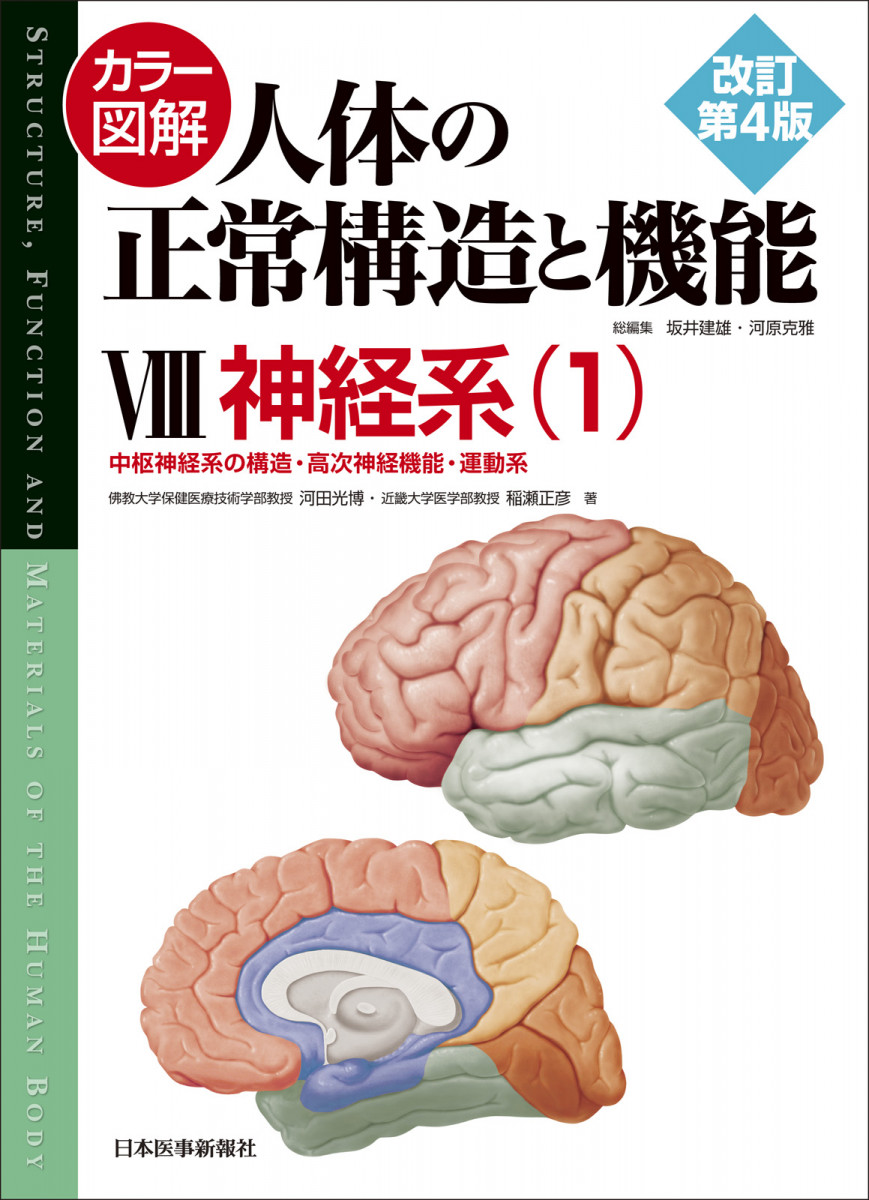 中枢神経系の解剖 第6版/医歯薬出版株式会社